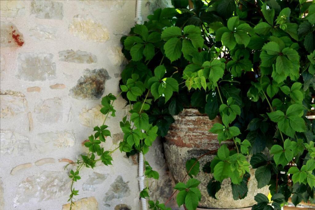 Apartamento Traditional Stone House At Great Location Koróni Exterior foto